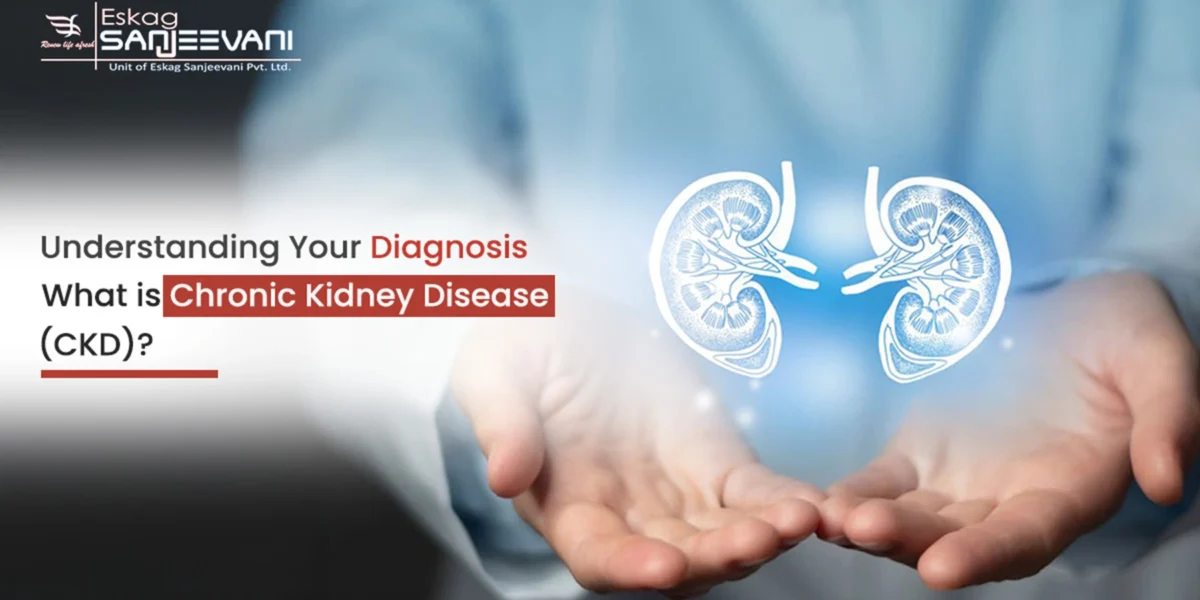 Chronic Kidney Disease treatment