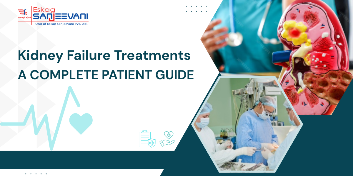 Kidney Failure Treatments