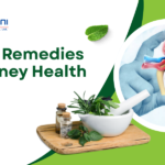 Herbal Remedies for Kidney Health