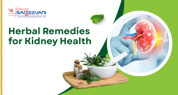 Herbal Remedies for Kidney Health