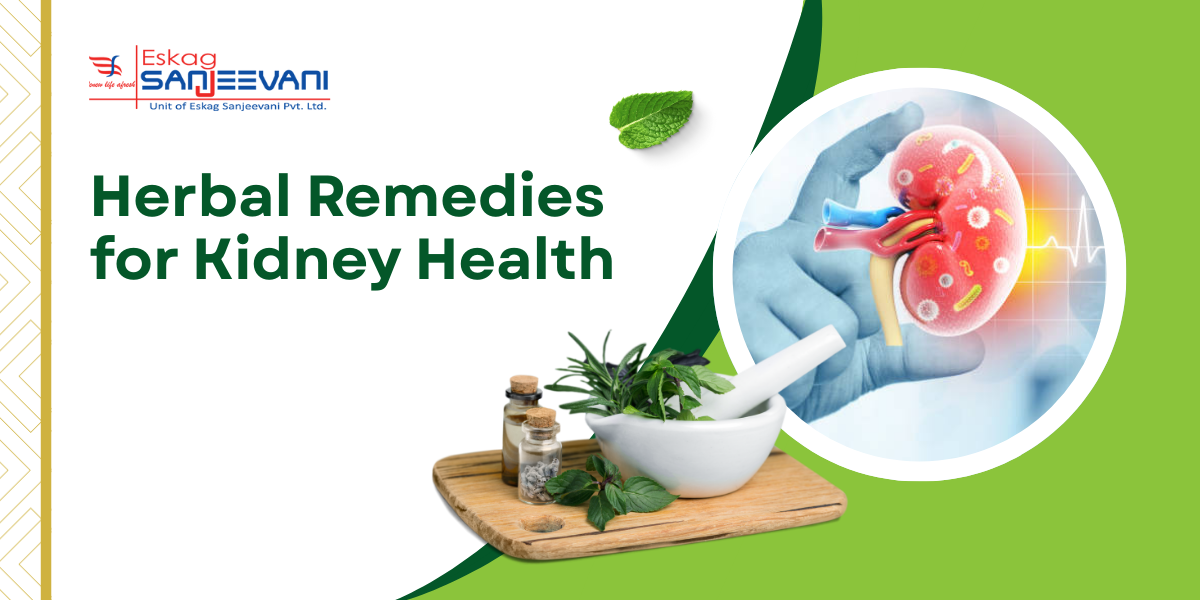 Herbal Remedies for Kidney Health