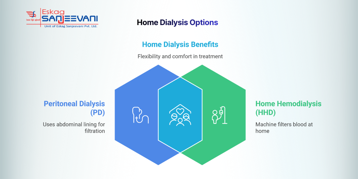Home Dialysis Options