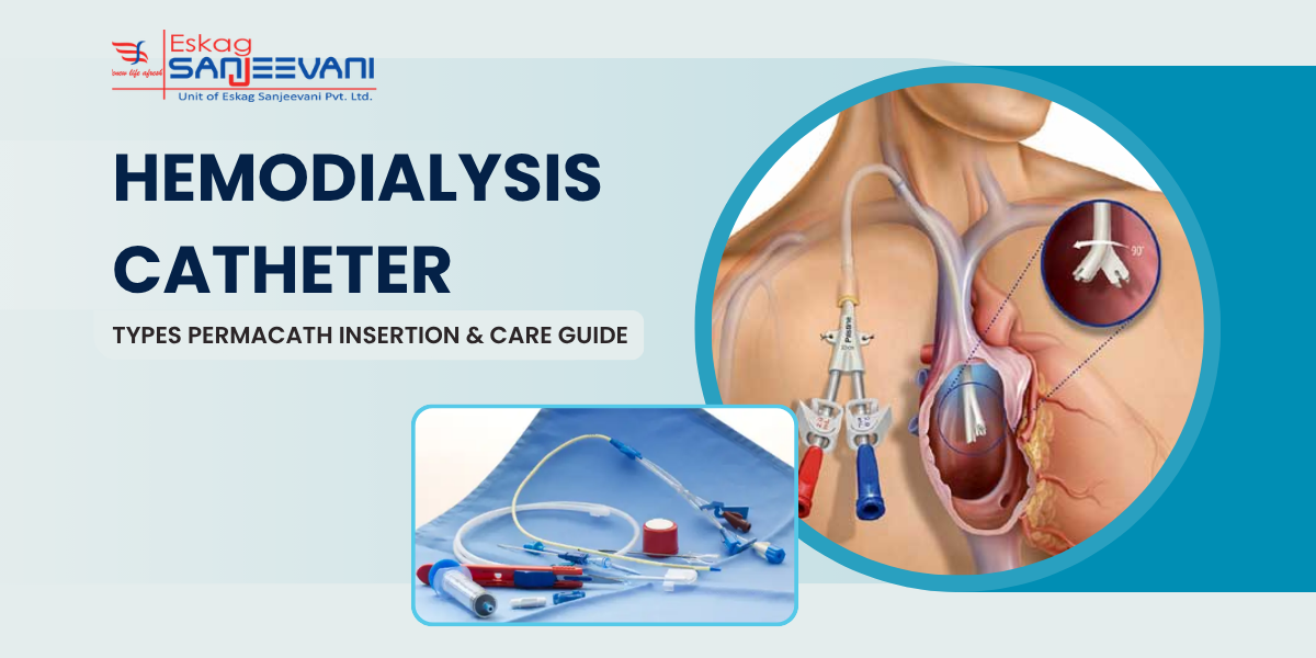 Hemodialysis Catheter
