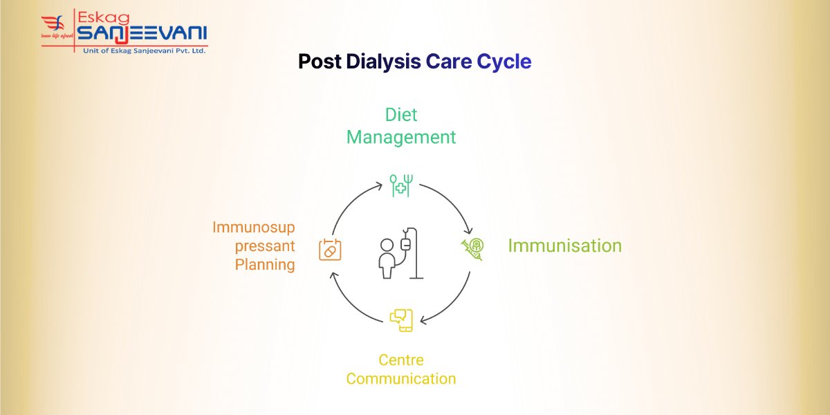 Understanding Inflammatory Bowel Diseases (IBD)