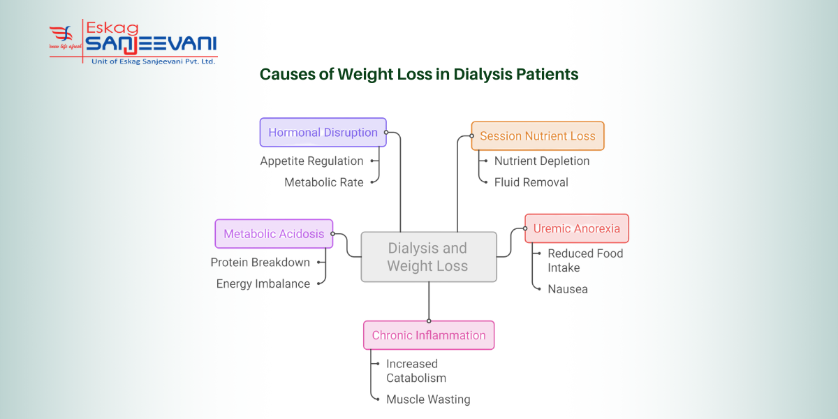 causes of weight loss in dialysis