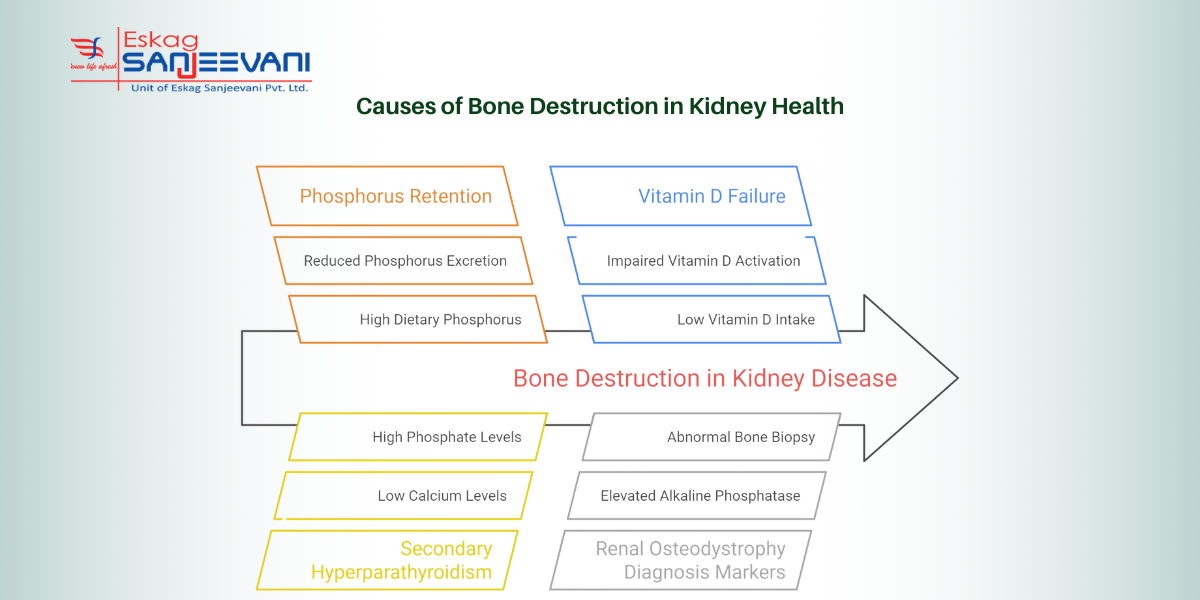 causes of bone destruction in kidney health