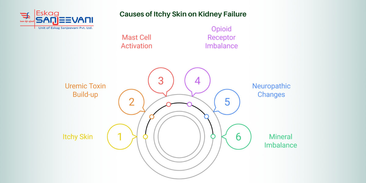 causes of itchy skin on kidney failure