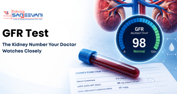 what is the GFR test
